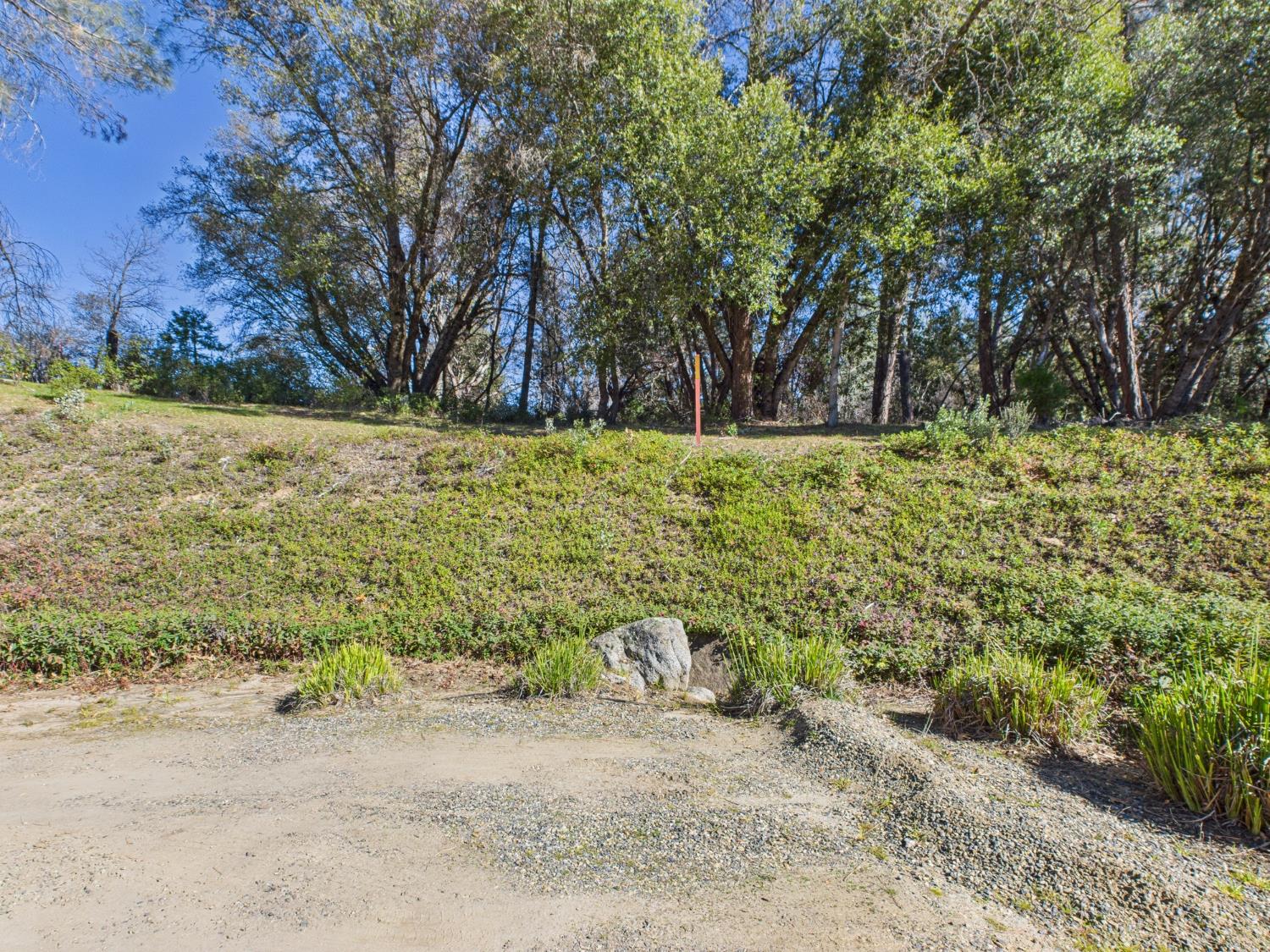37550 Mountain Lakes Road Oakhurst, CA 93644 - Photo 57 of 63 a view of a yard with plants