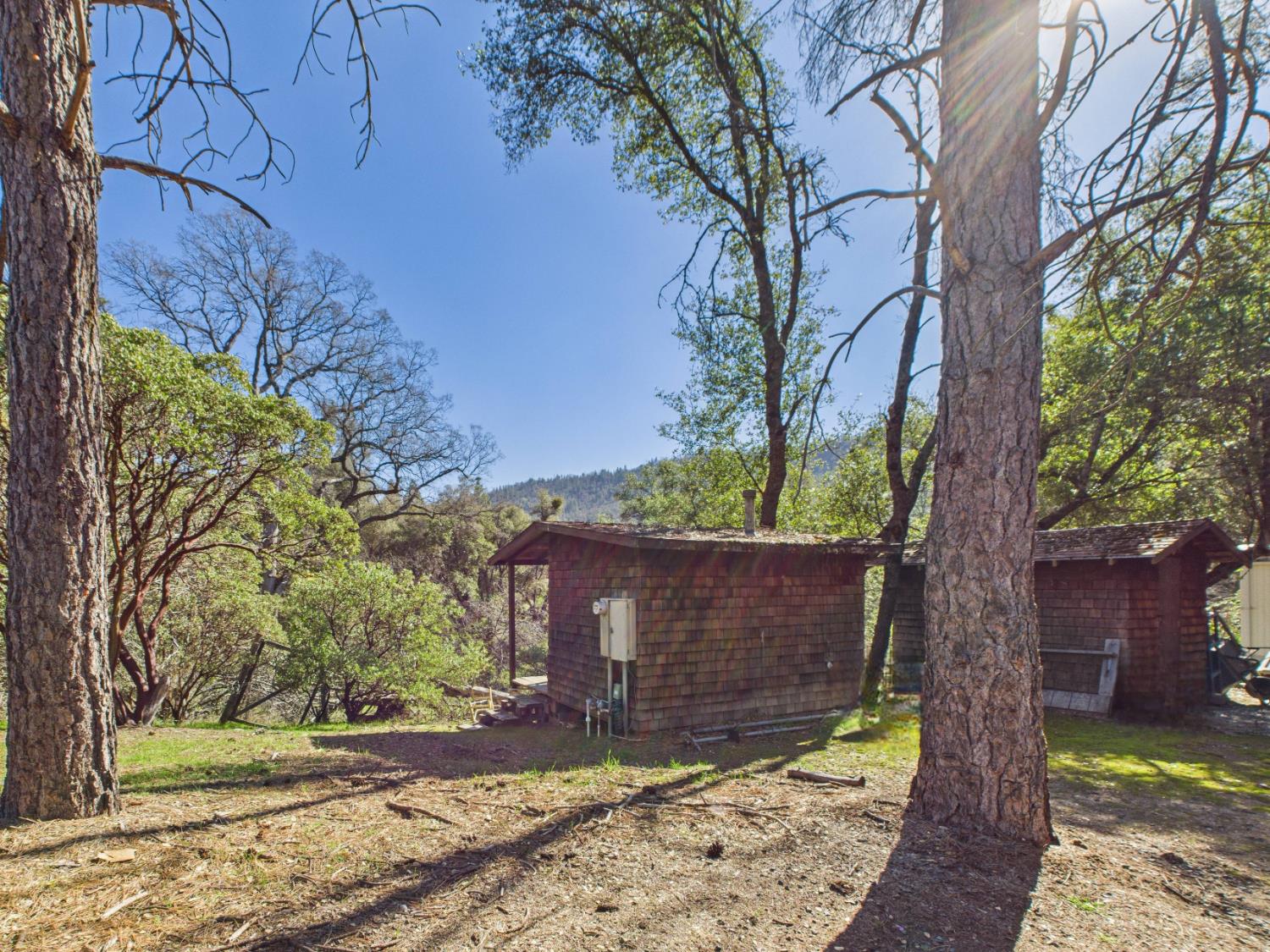 37550 Mountain Lakes Road Oakhurst, CA 93644 - Photo 60 of 63 a view of a house with a large tree and a yard