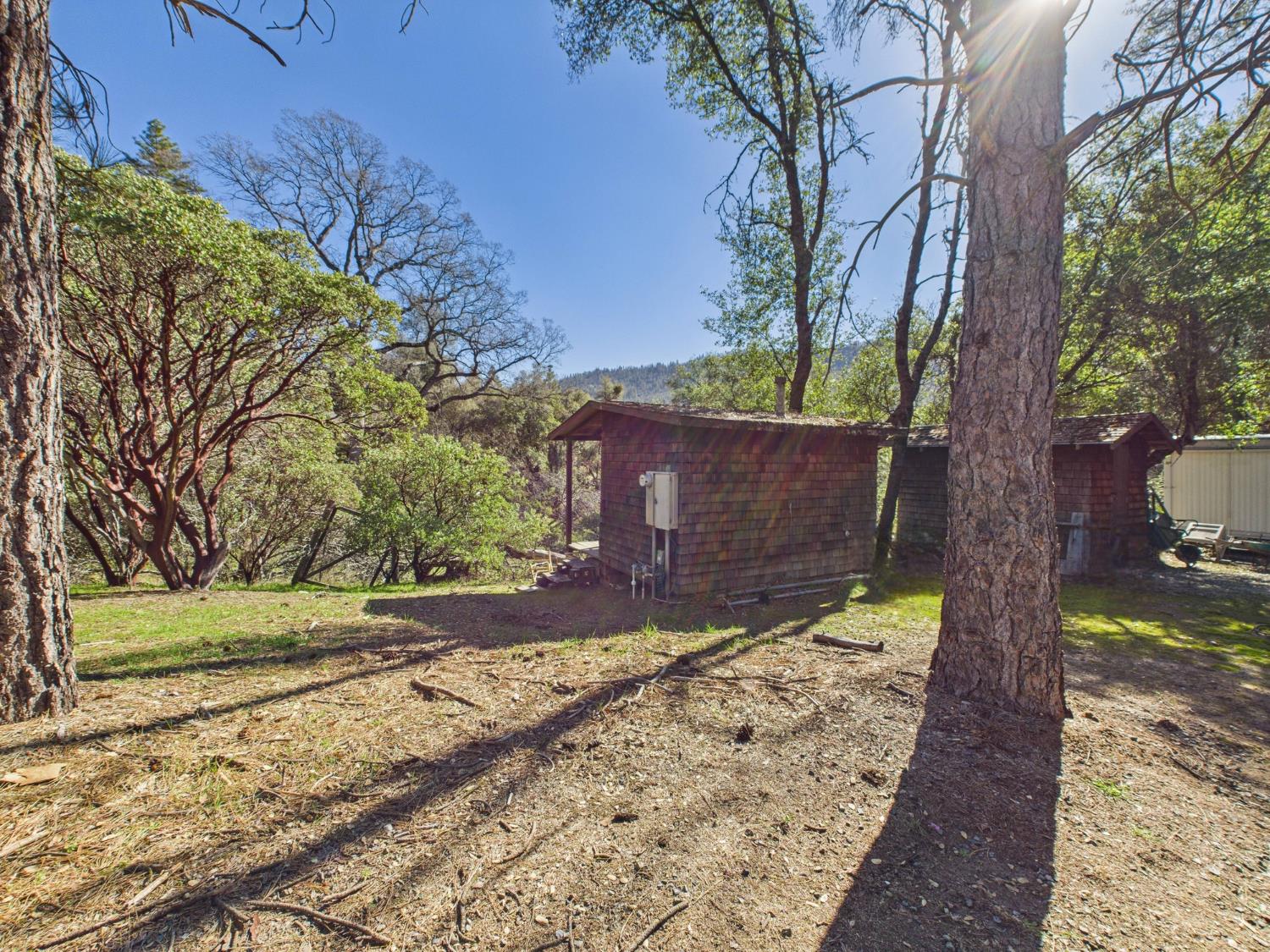 37550 Mountain Lakes Road Oakhurst, CA 93644 - Photo 61 of 63 a view of a yard with plants and trees