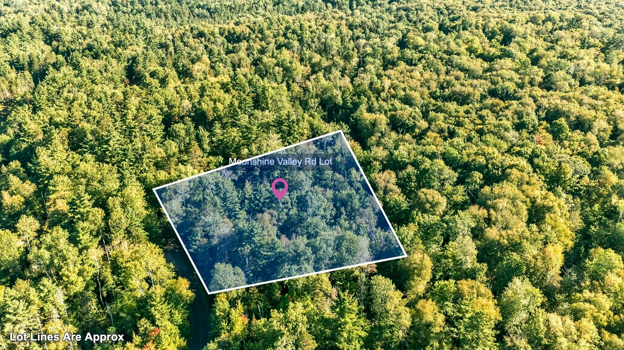 Lot On Moonshine Valley Road Presque Isle, WI 54557 - Photo 3 of 17 Gallery Image 3