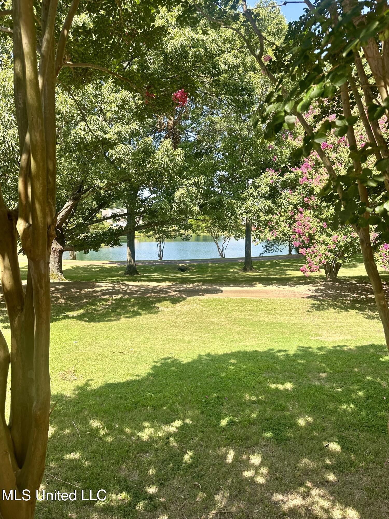 814 Byhalia Road Hernando, MS 38632 - Photo 10 of 11 IMG_2124
