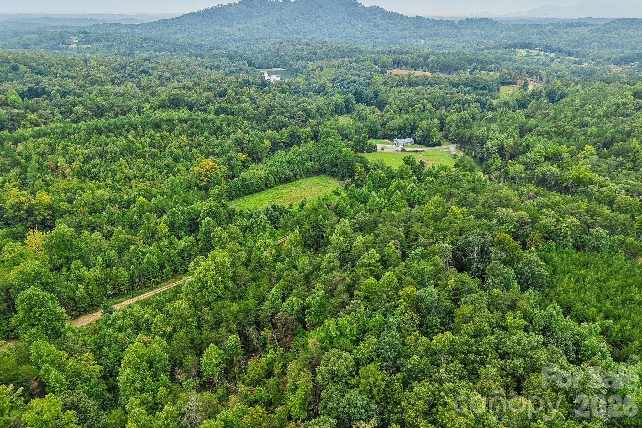 9999 Club House Road Lake Lure, NC 28746 - Photo 10 of 10 Gallery Image 10
