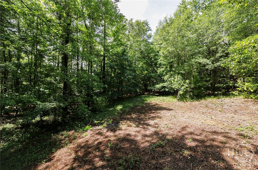 500 Kingston Road Colbert, GA 30628 - Photo 38 of 55