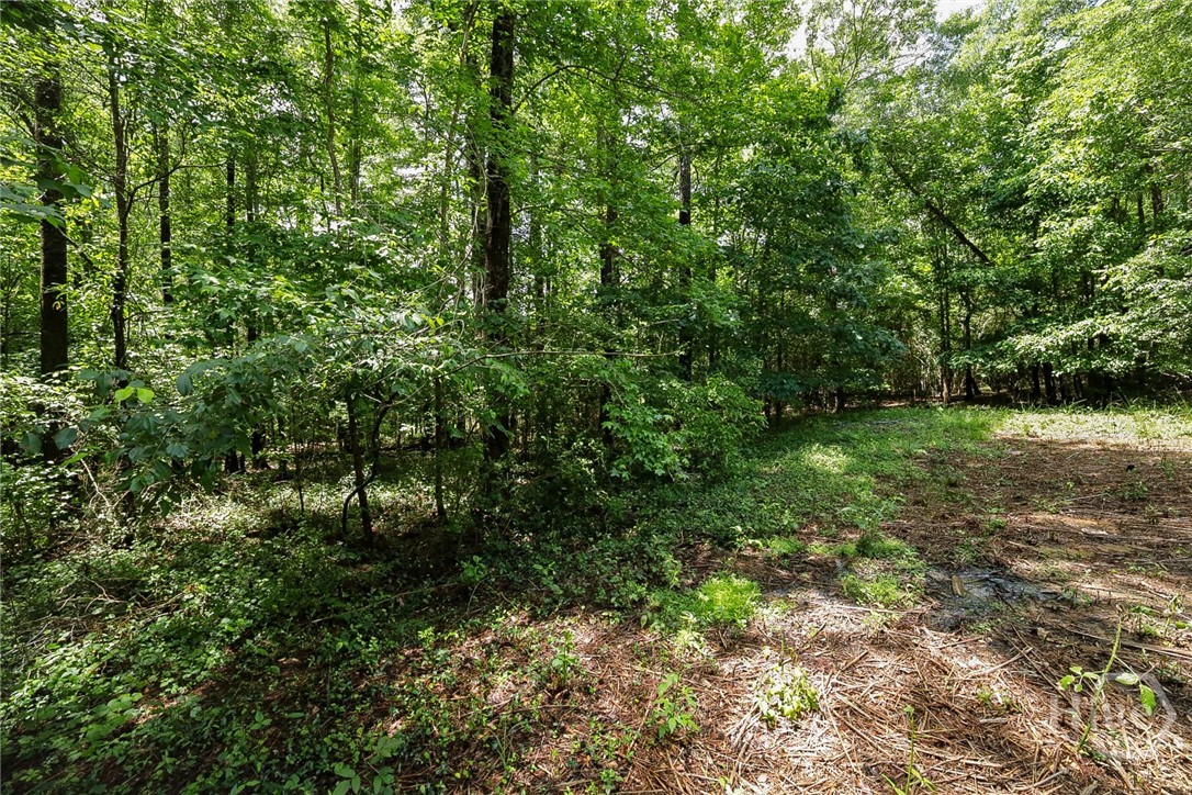 500 Kingston Road Colbert, GA 30628 - Photo 44 of 55