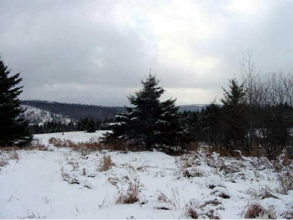 0 Blakley Road Colebrook, NH 03576 - Photo 1 of 2 Gallery Image 1