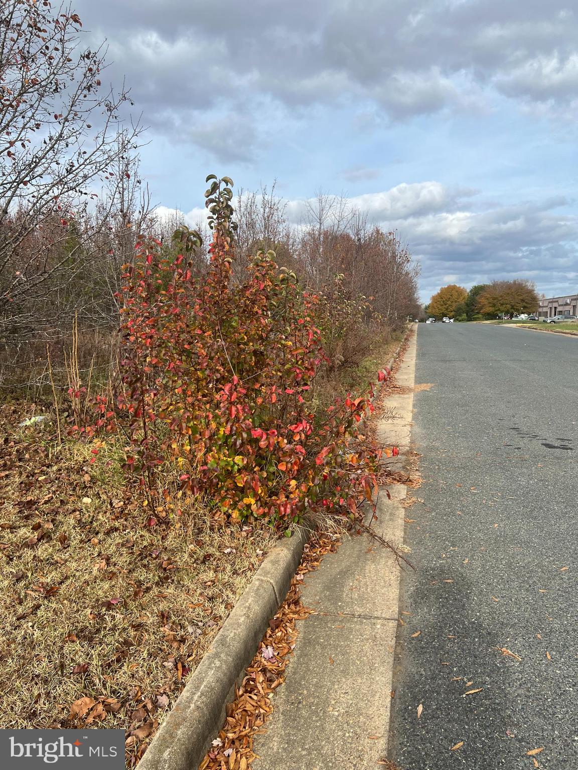 11000 Pierson Drive Fredericksburg, VA 22408 - Photo 4 of 6 a view of a yard