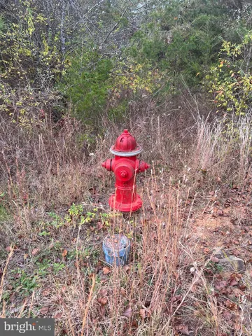 a view of a flower in a yard