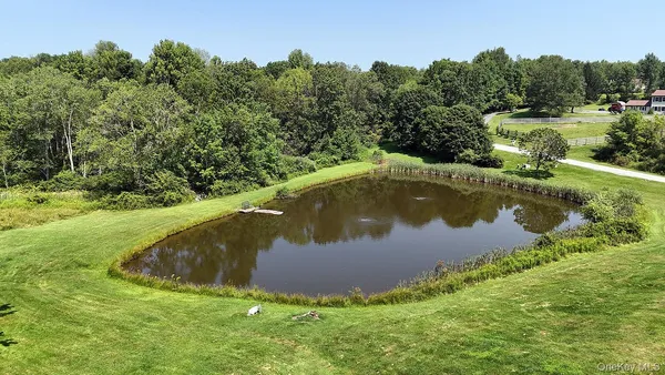 a view of a swimming pool with a yard