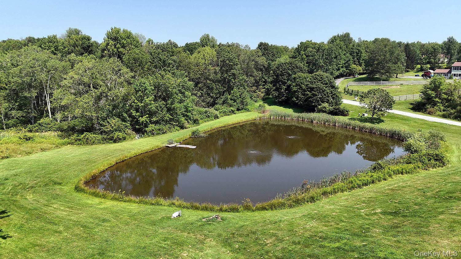 59 Delaware Drive Damascus, PA 18415 - Photo 6 of 24 a view of a swimming pool with a yard