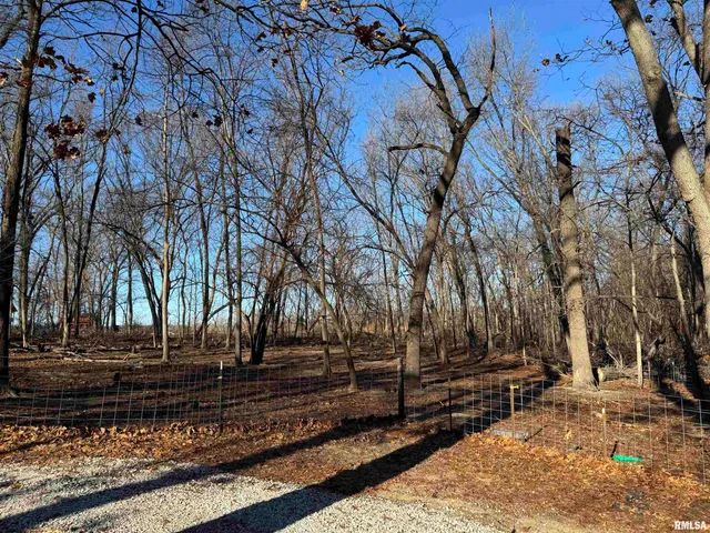 $347,000 | 12726 East Co Road 300N, Chandlerville, IL 62627