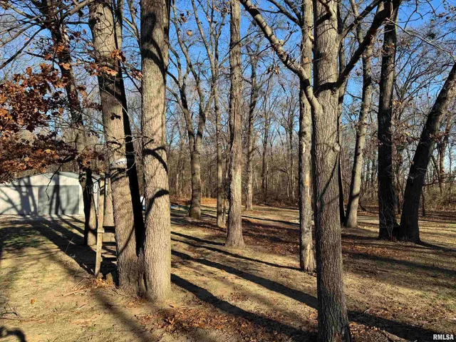 $347,000 | 12726 East Co Road 300N, Chandlerville, IL 62627