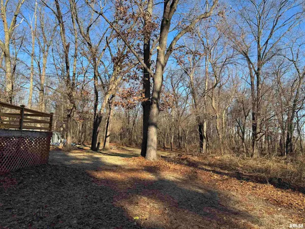 $335,000 | 12726 East Co Road 300N, Chandlerville, IL 62627