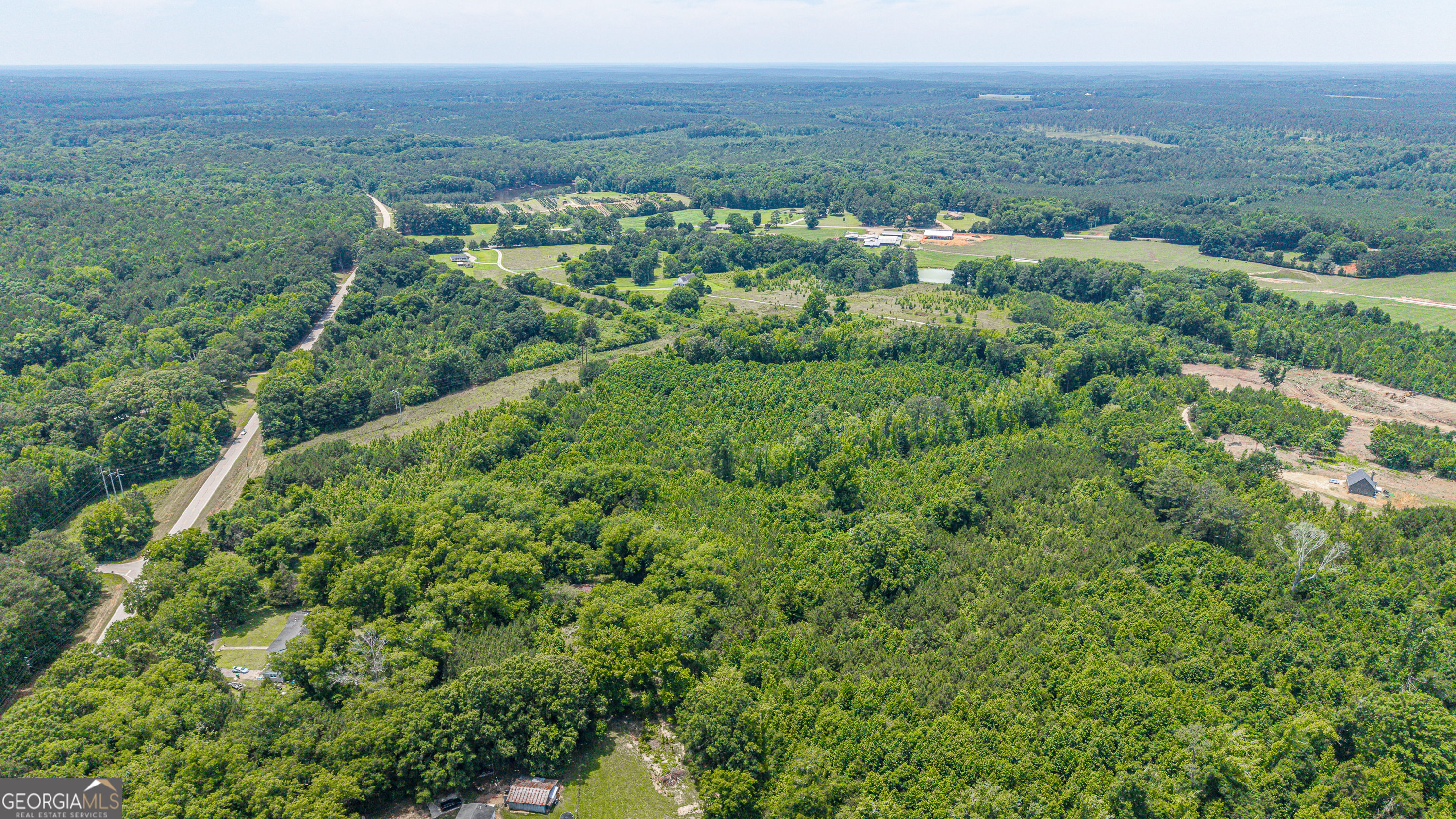0 Washington Highway Union Point, GA 30669 - Photo 4 of 22