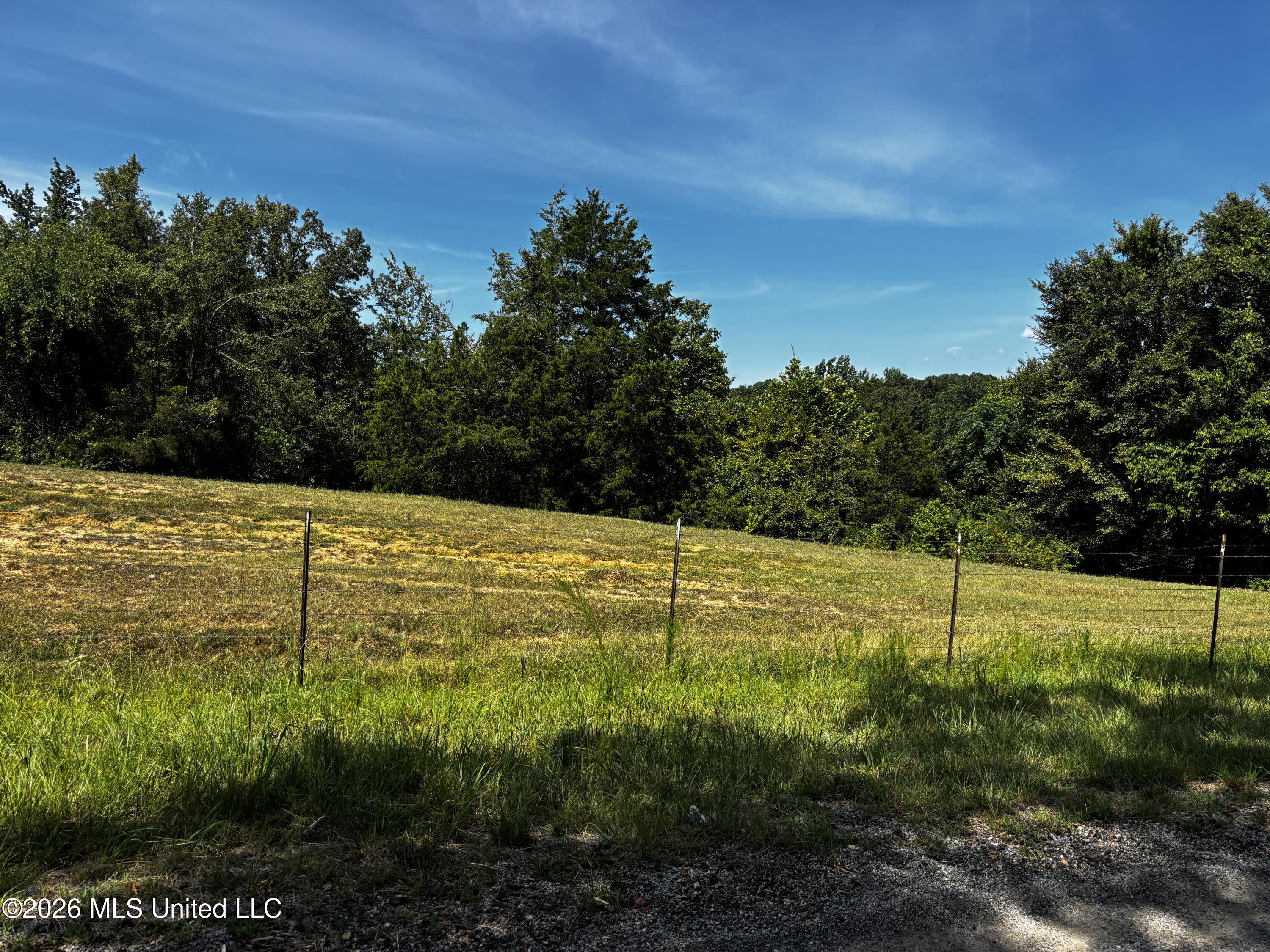 Still Road Sardis, MS 38666 - Photo 20 of 31 IMG_3974