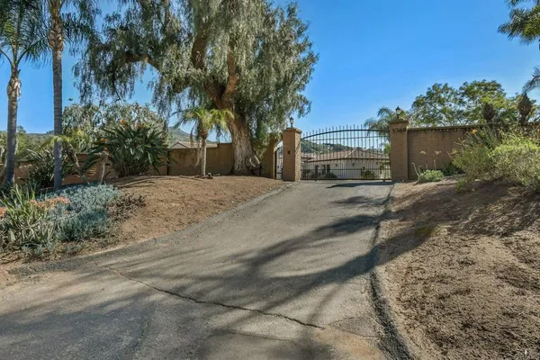 a view of a backyard with large trees