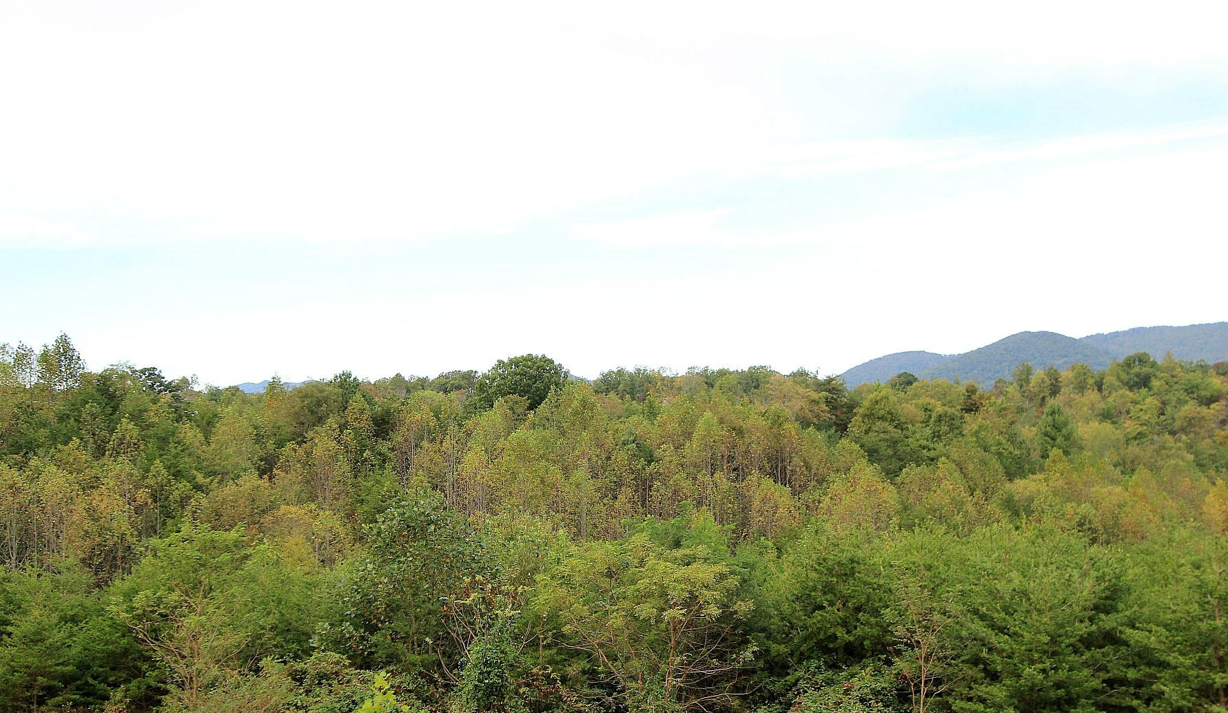 3648 Edwardsville Road Hardy, VA 24101 - Photo 36 of 42 Breathtaking Mtn. Views from home