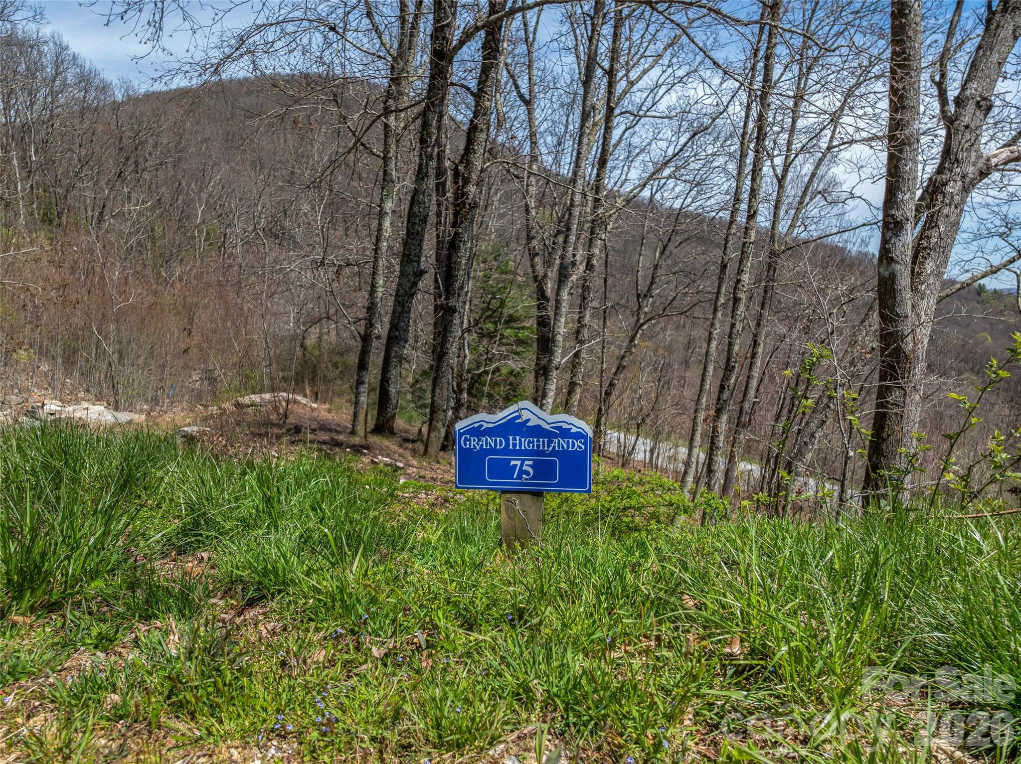 370 Autumn Ridge Lane, Unit 75 Hendersonville, NC 28792 - Photo 2 of 27