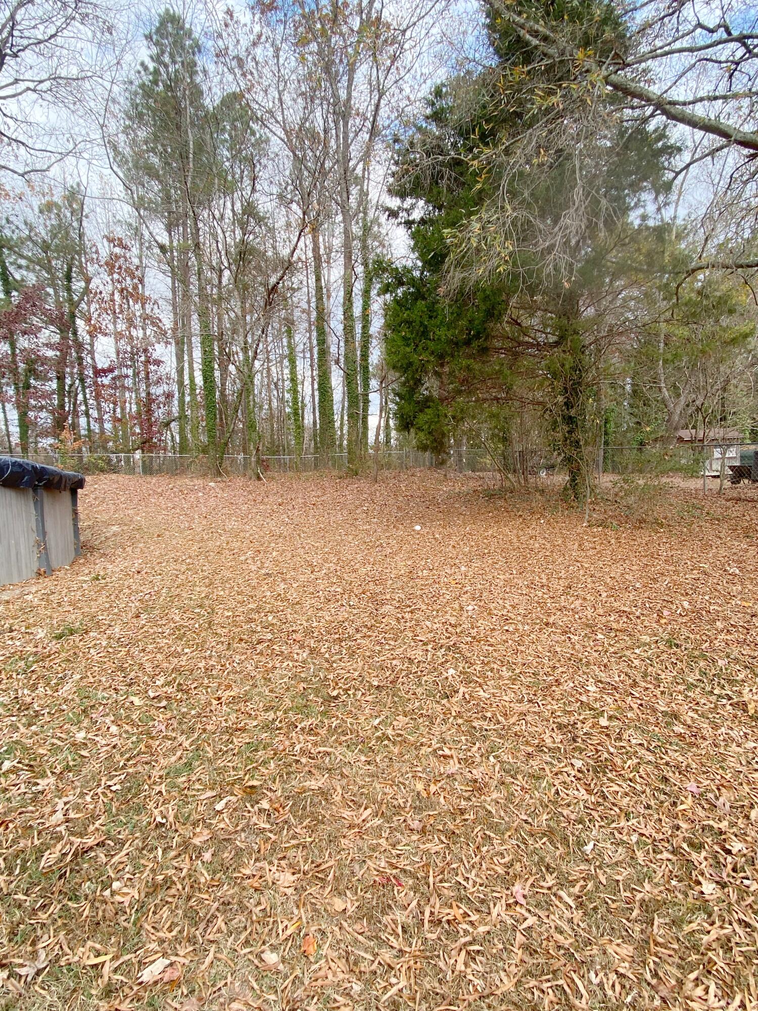 104 Brenda Lane Chickamauga, GA 30707 - Photo 15 of 42 Backyard