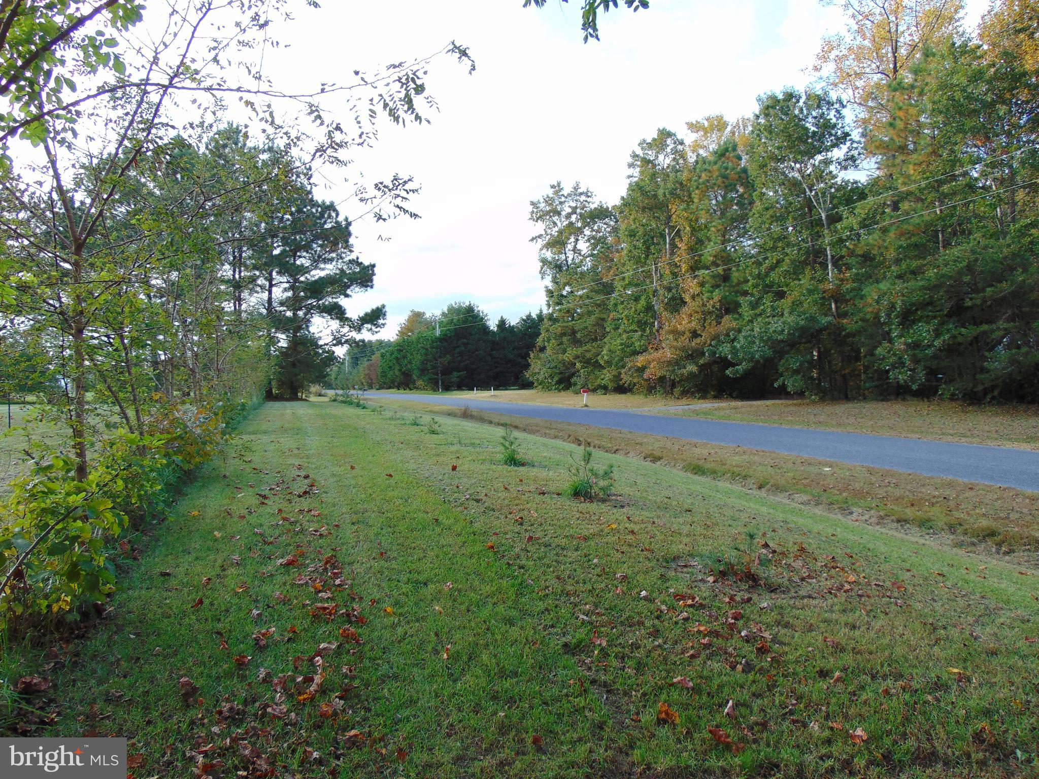 24795 Pinetown Road Denton, MD 21629 - Photo 16 of 60 Quite country road.
