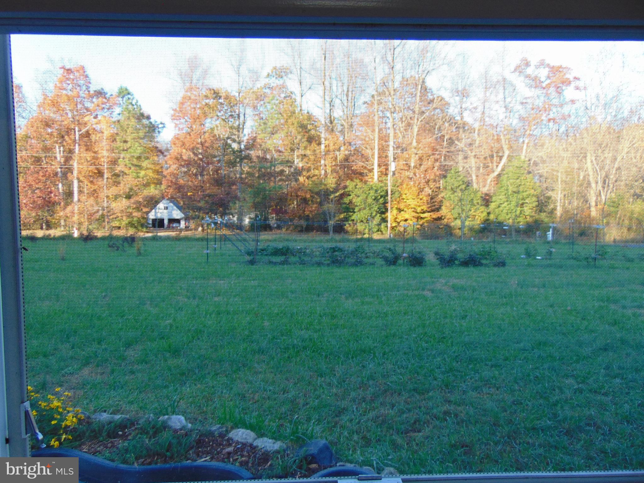 24795 Pinetown Road Denton, MD 21629 - Photo 19 of 60 View from 1st bedroom