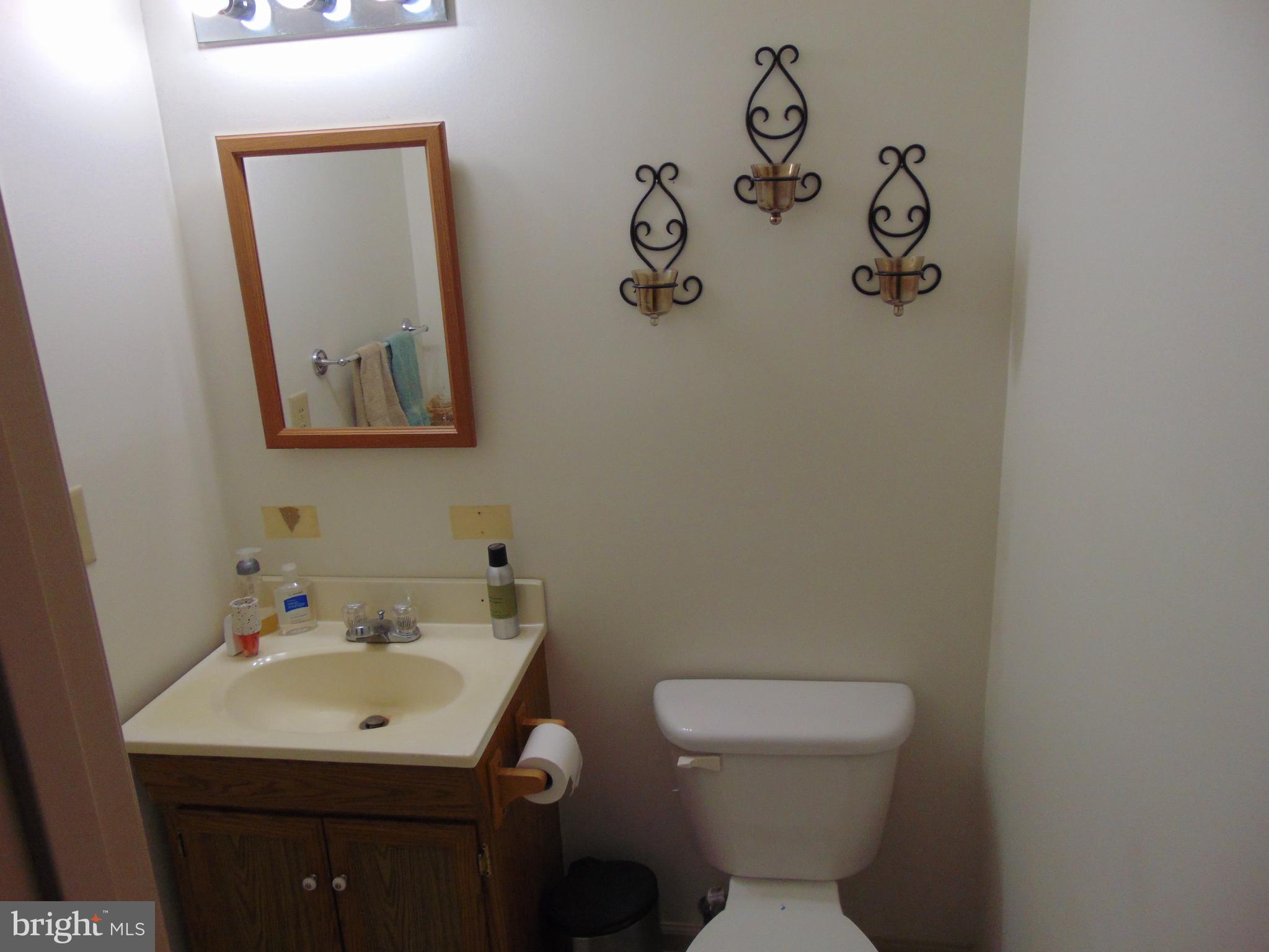24795 Pinetown Road Denton, MD 21629 - Photo 33 of 60 Half bath in master bathroom
