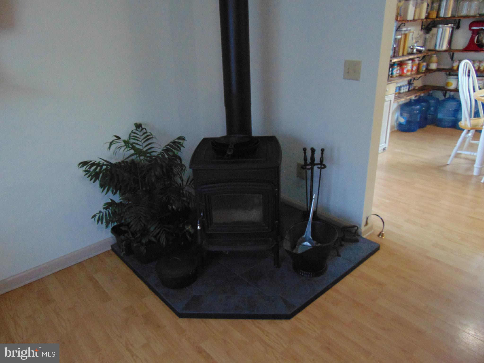 24795 Pinetown Road Denton, MD 21629 - Photo 42 of 60 2 year old wood stove