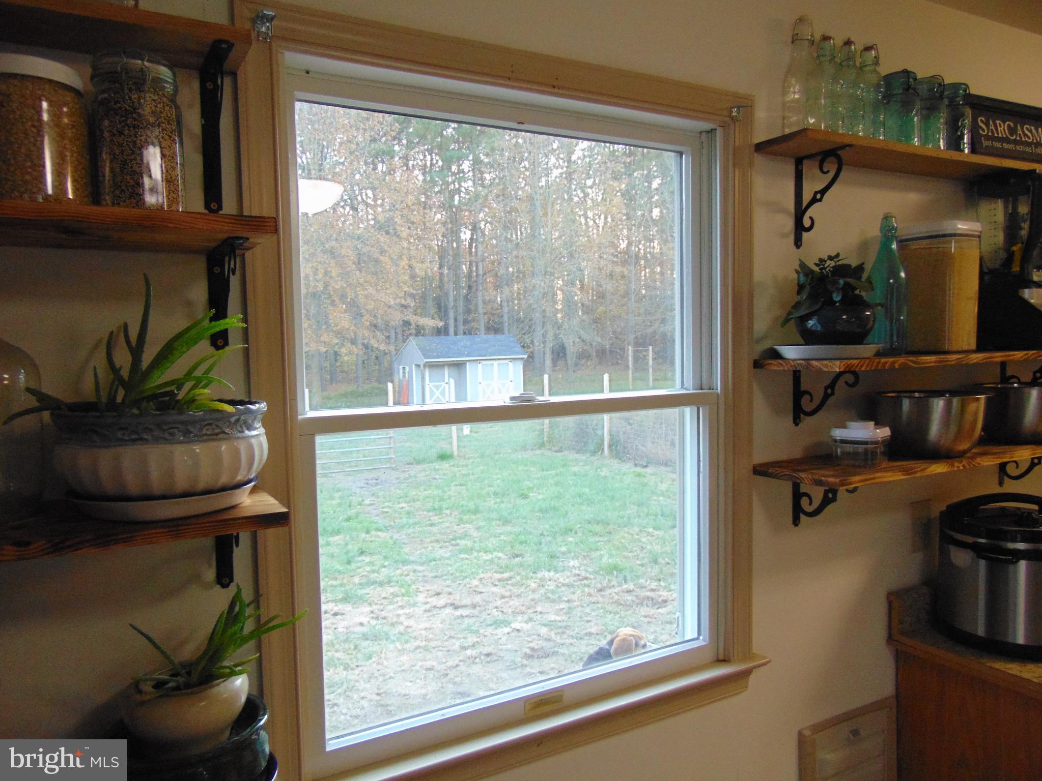 24795 Pinetown Road Denton, MD 21629 - Photo 49 of 60 Looking into backyard from kitchen table