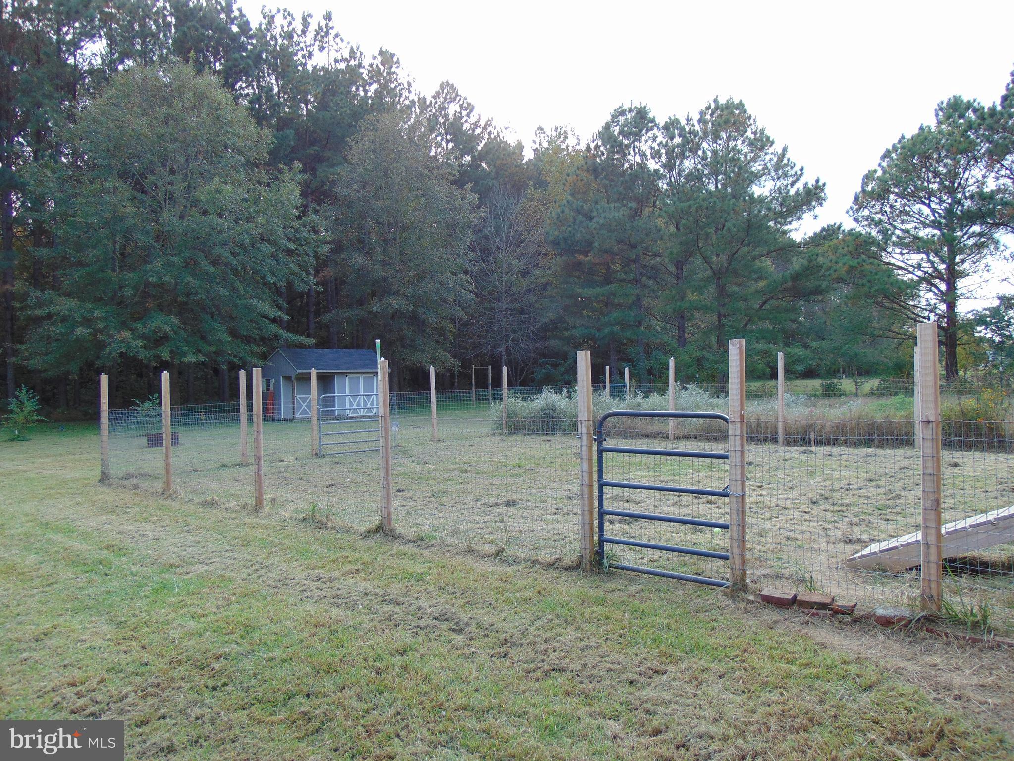 24795 Pinetown Road Denton, MD 21629 - Photo 6 of 60 Fenced in backyard with dog door and ramp.