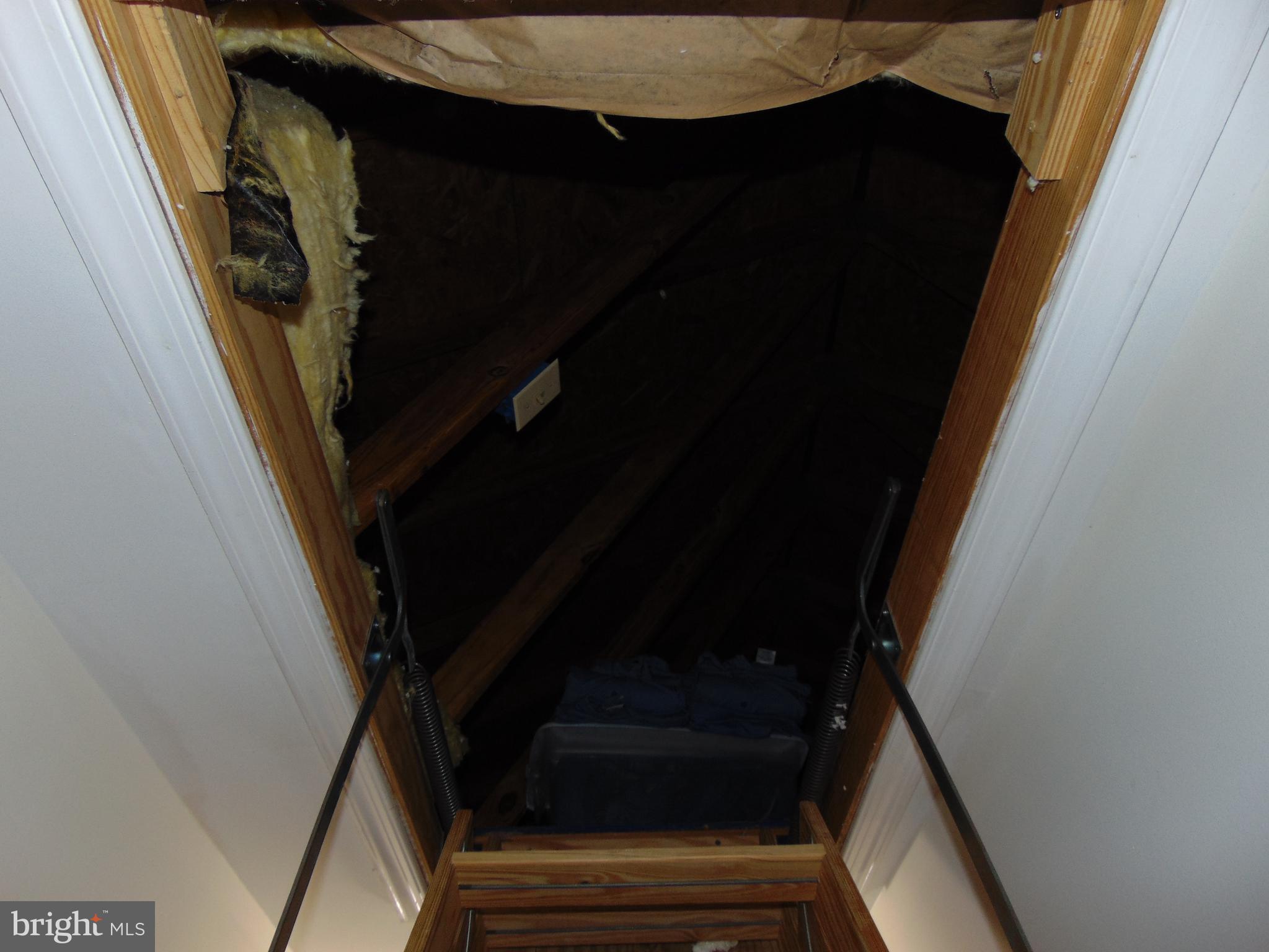 24795 Pinetown Road Denton, MD 21629 - Photo 55 of 60 looking up into attic