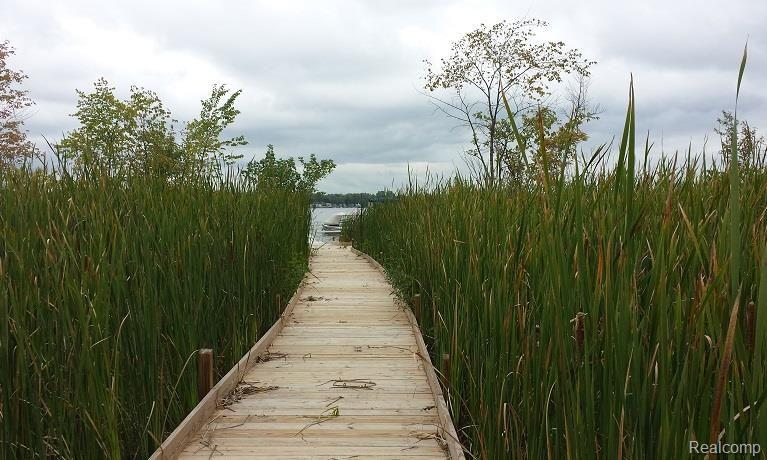 8685 Mcgregor Road Pinckney, MI 48169 - Photo 11 of 25 Boardwalk_August.jpg