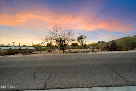a view of a dry yard with lots of trees