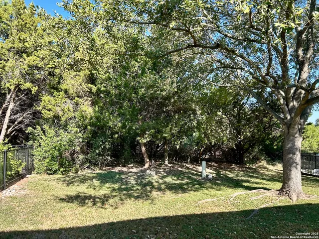 a view of a tree in the middle of a yard