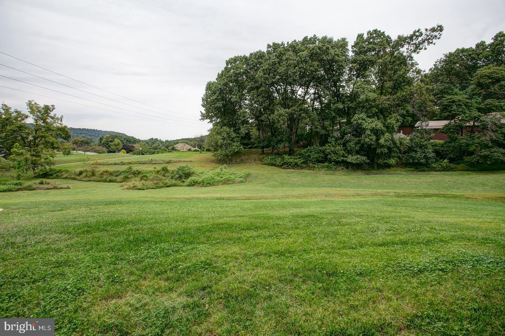 88 Mt Penn Road Reading, PA 19607 - Photo 7 of 35 View Of Back Yard