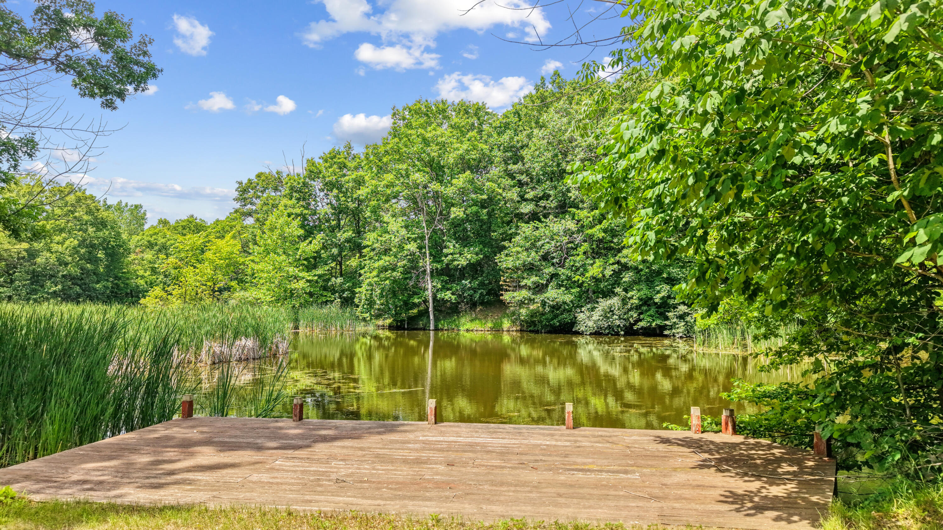 4902 Mt Morris Road Columbiaville, MI 48421 - Photo 12 of 51 12