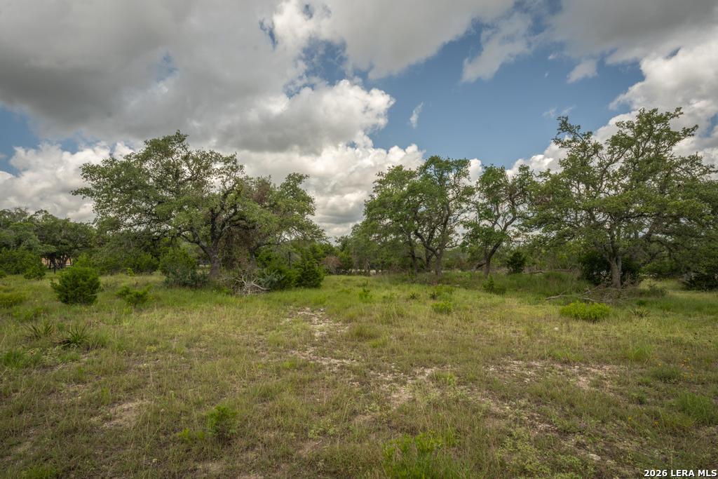 3044 Ridge Crossing Bulverde, TX 78163 - Photo 5 of 12 Gallery Image 5