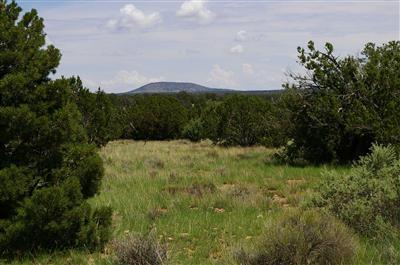 0 White Rock Road Williams, AZ 86046 - Photo 1 of 8 Primary Photo