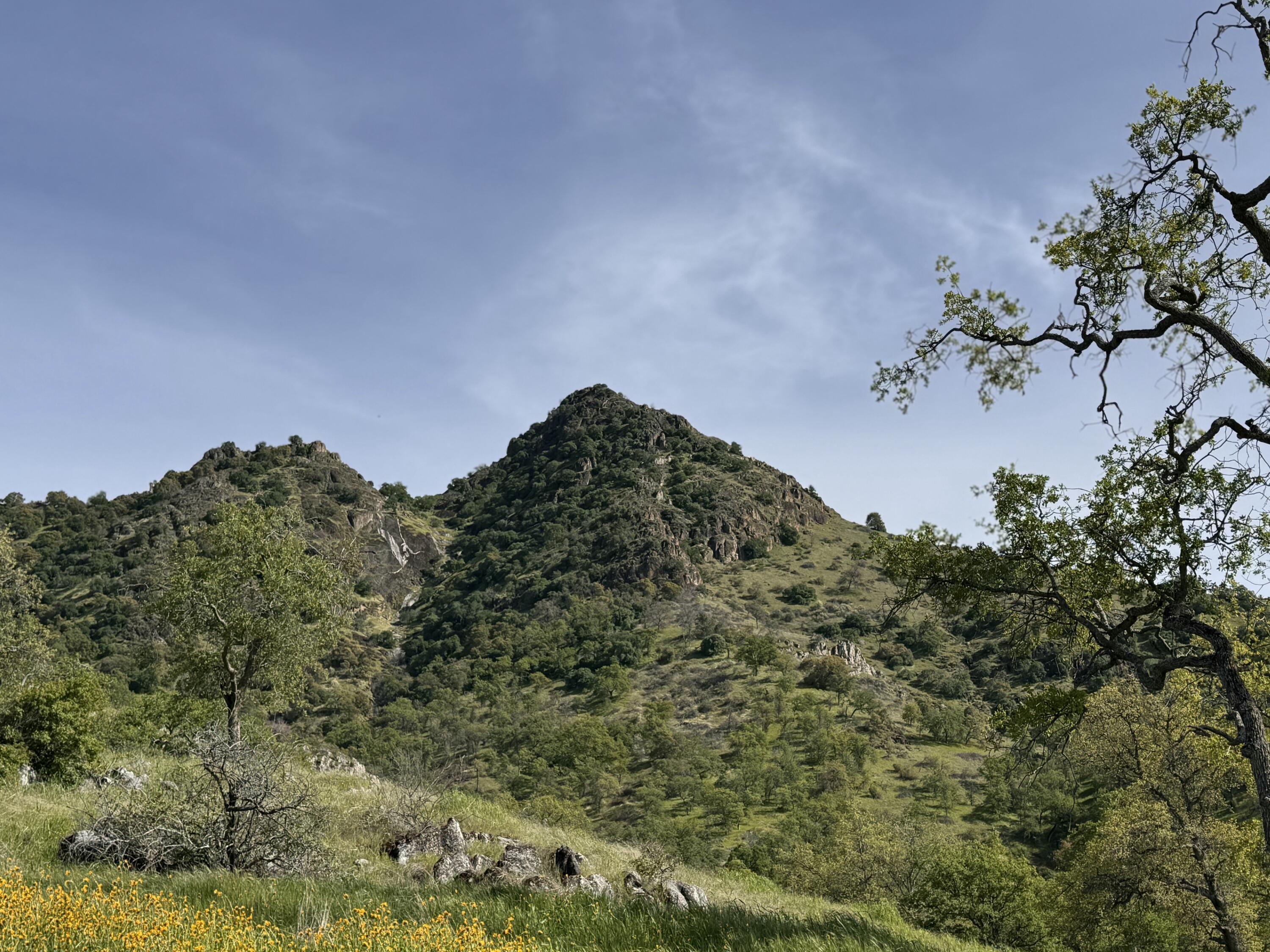 42065 Quail Run Drive Three Rivers, CA 93271 - Photo 8 of 29 tempImageymPCR6