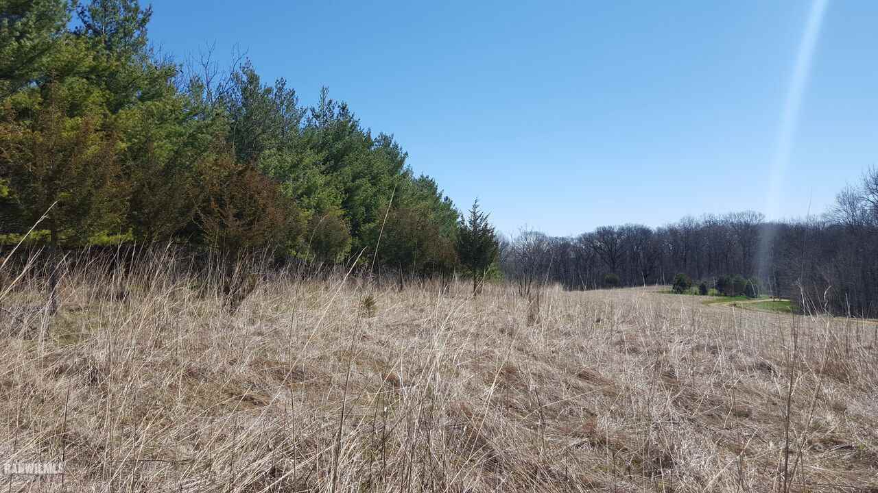 9495 South Lost Horizon Road Hanover, IL 61041 - Photo 8 of 8