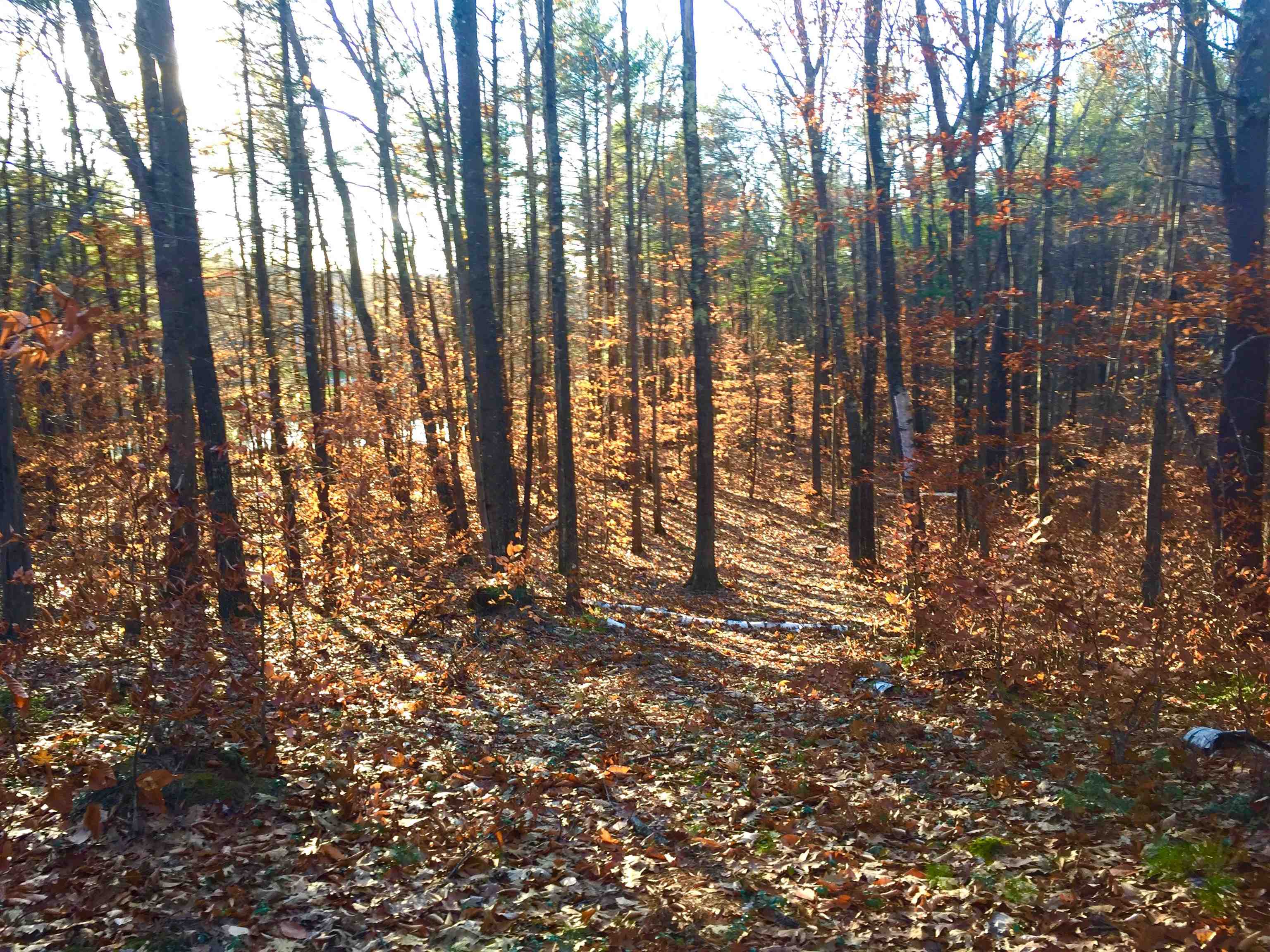 76 Edgerly School Road Meredith, NH 03253 - Photo 16 of 29