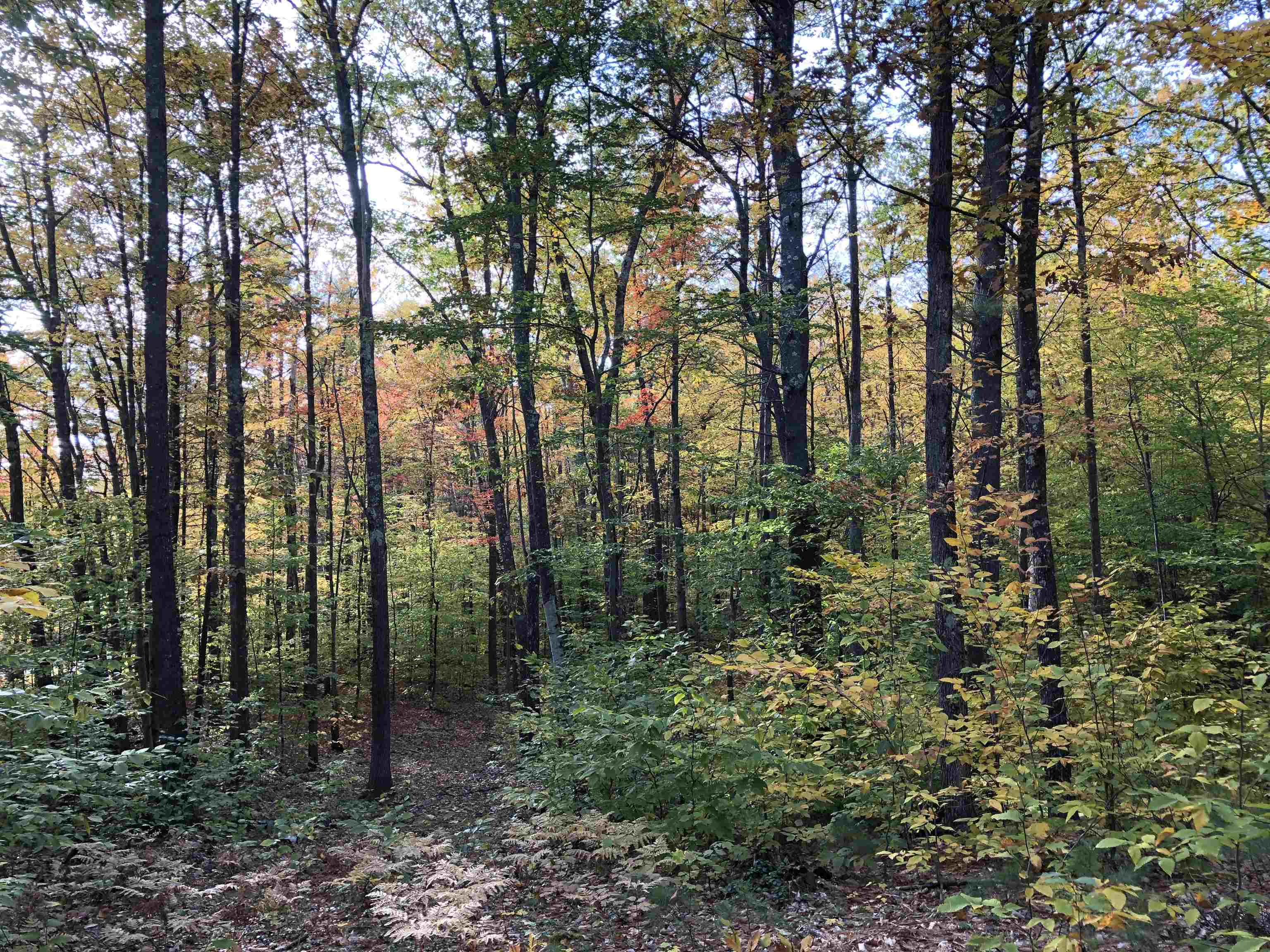 76 Edgerly School Road Meredith, NH 03253 - Photo 17 of 29