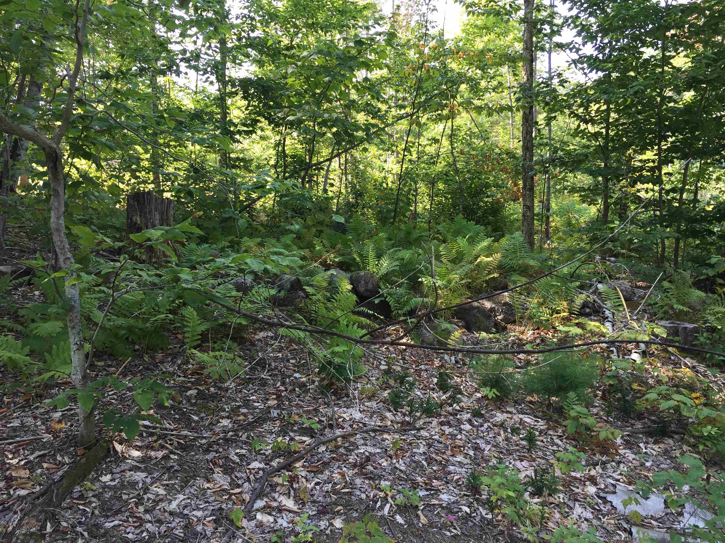 76 Edgerly School Road Meredith, NH 03253 - Photo 19 of 29