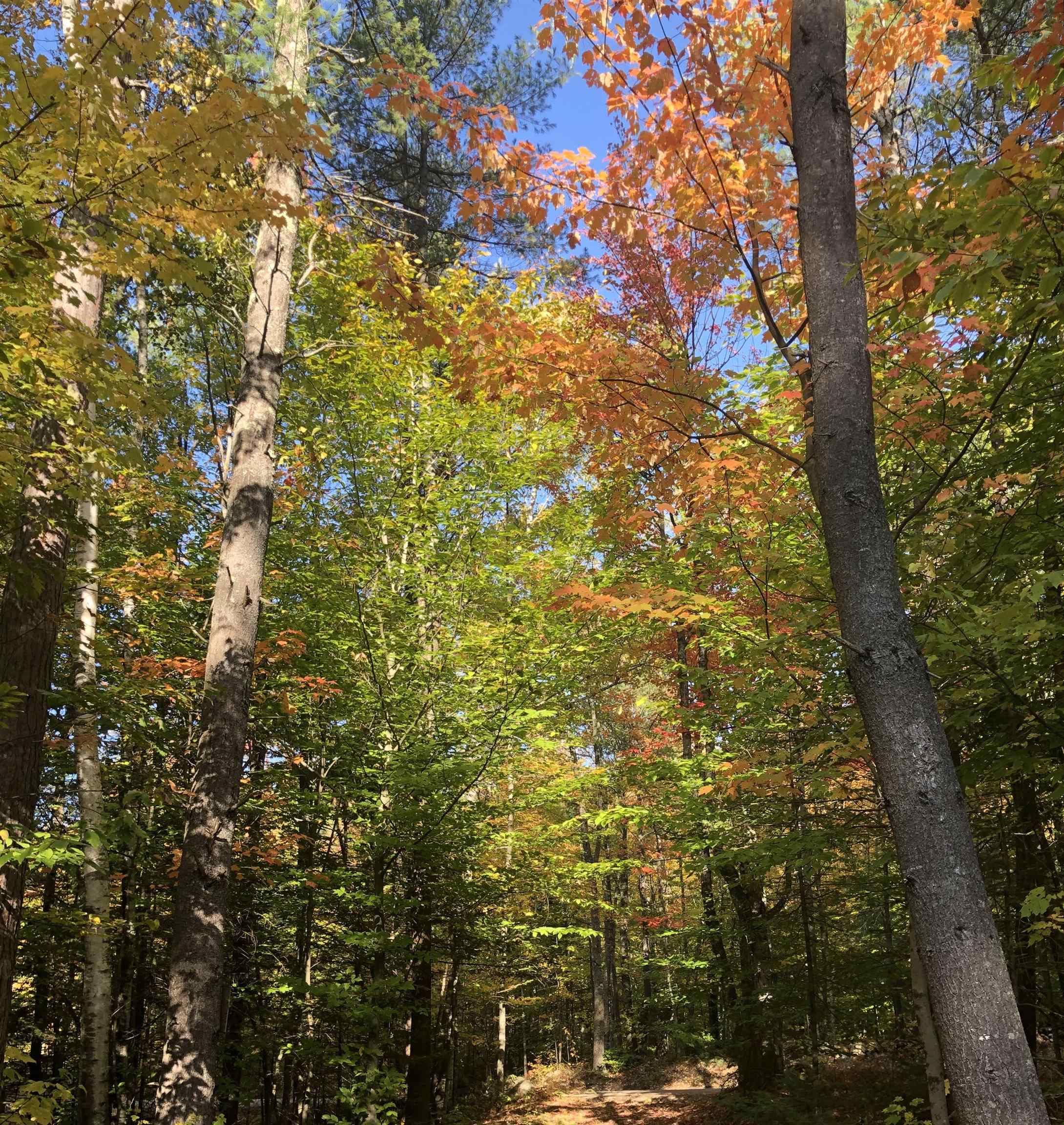 76 Edgerly School Road Meredith, NH 03253 - Photo 21 of 29