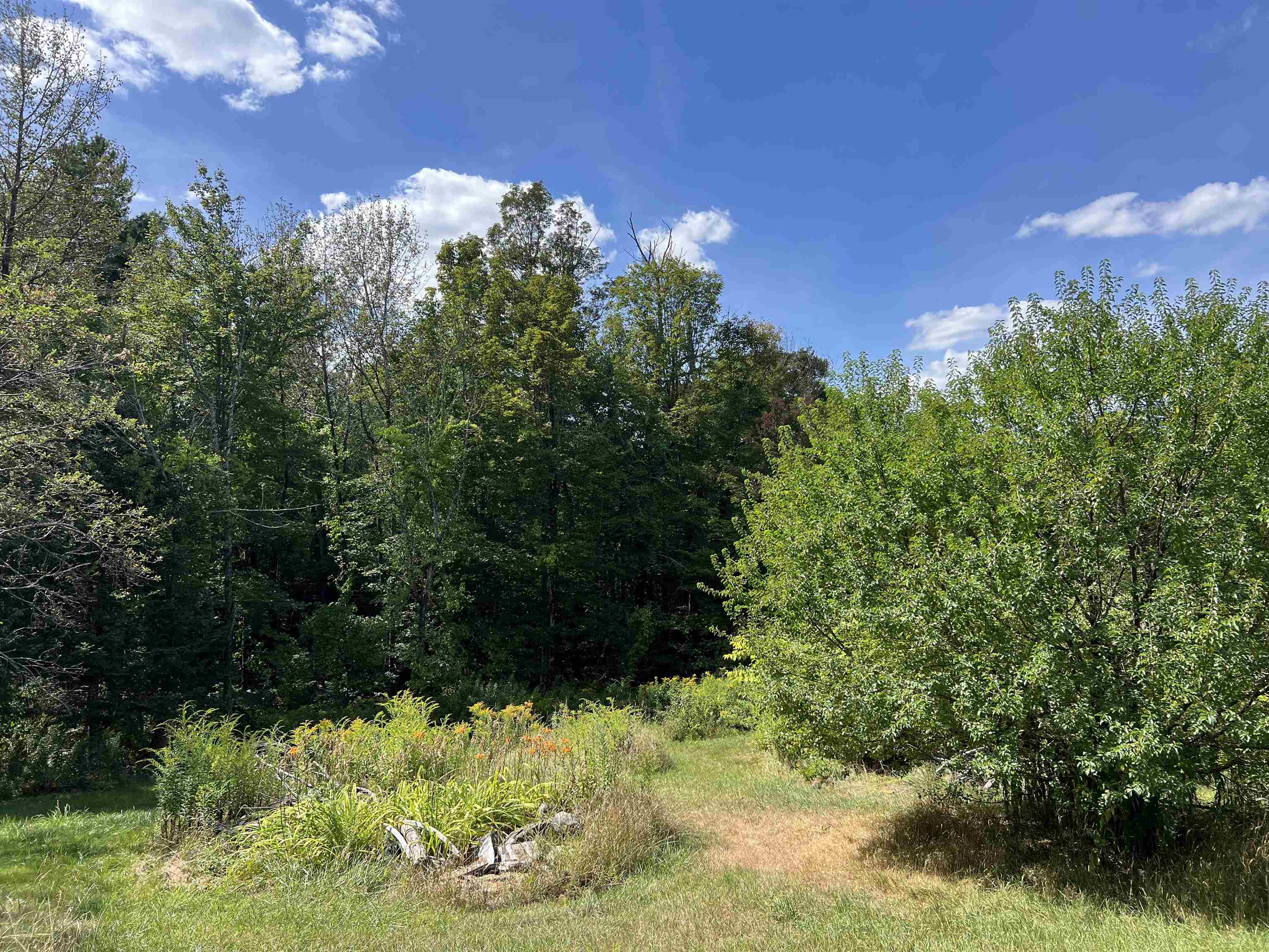 76 Edgerly School Road Meredith, NH 03253 - Photo 4 of 29