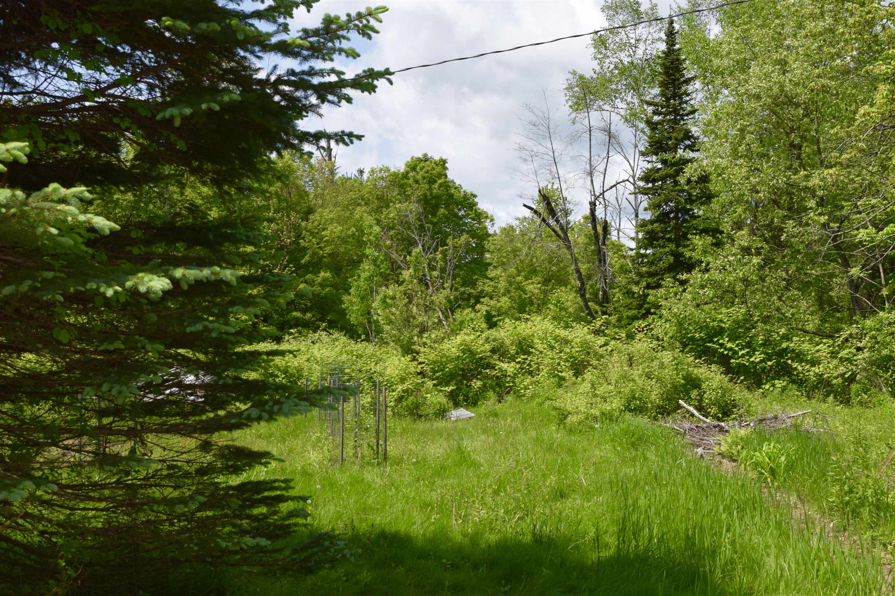 76 Edgerly School Road Meredith, NH 03253 - Photo 5 of 29