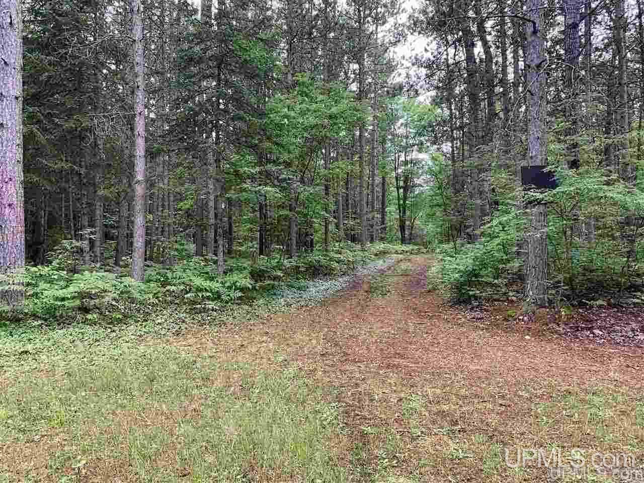 N3318 Twin Lakes Road Wetmore, MI 49895 - Photo 7 of 19