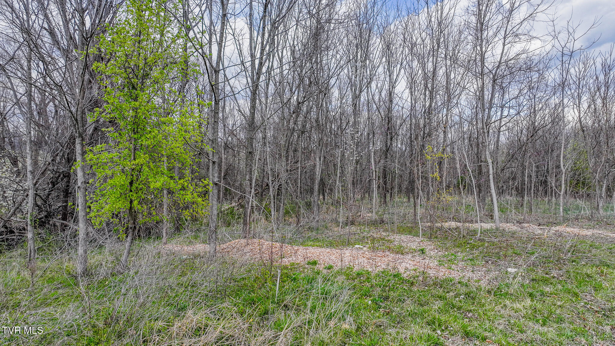 Tbd Berry Ridge Road, Unit 1 Jonesborough, TN 37659 - Photo 3 of 6 DJI_20250325154701_0155_D-HDR