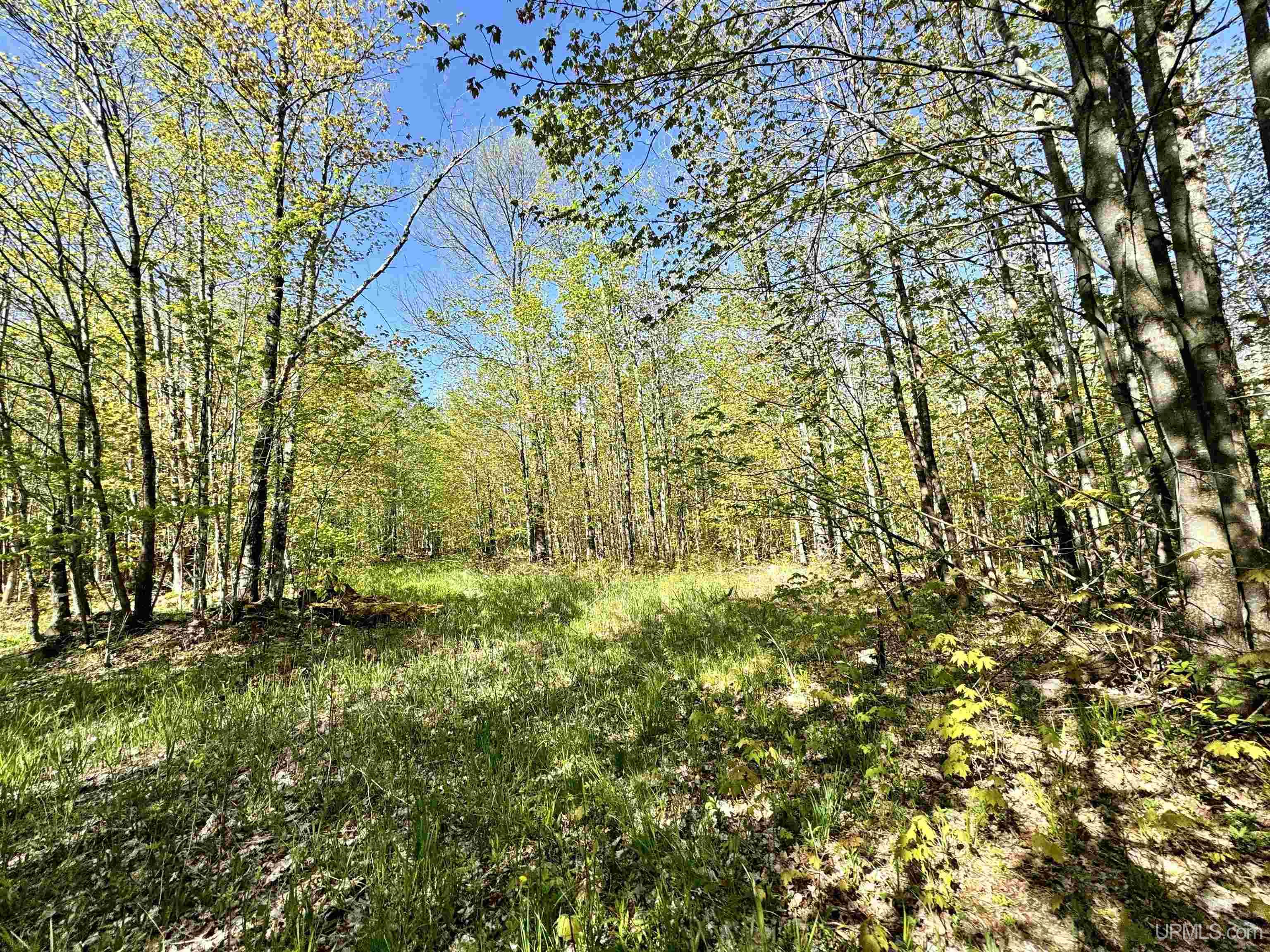 Tbd Tbd Segan Road Marquette, MI 49855 - Photo 8 of 21