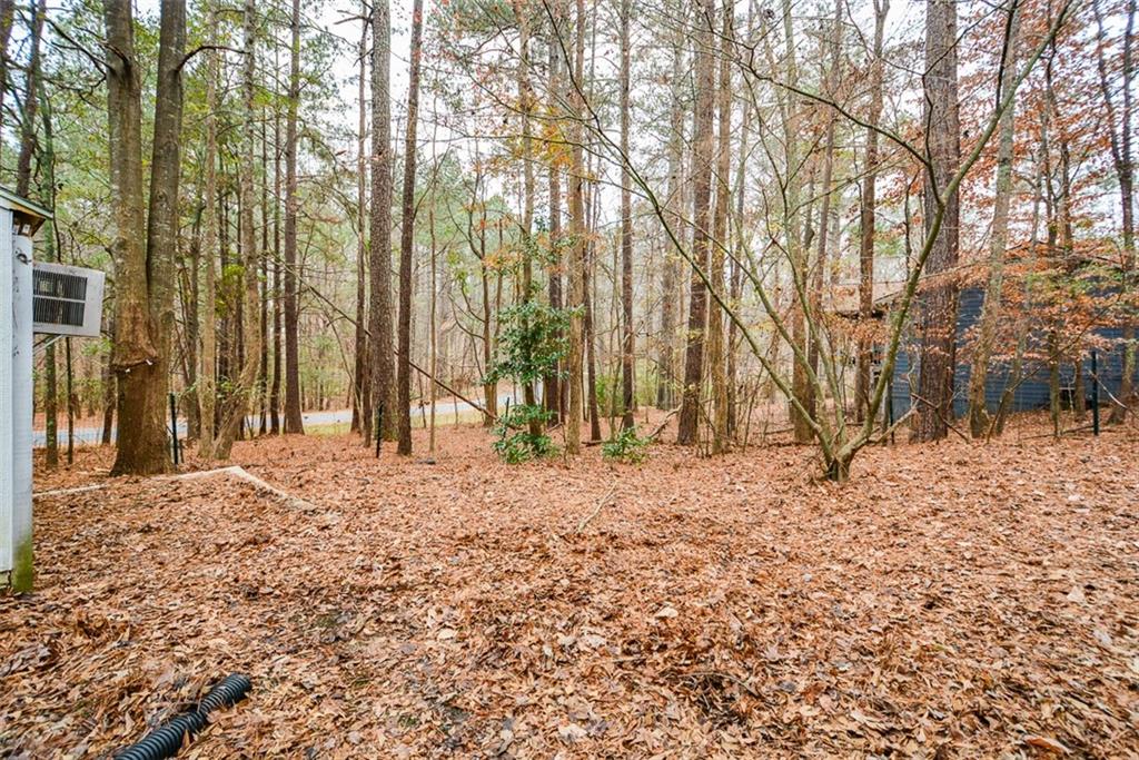 1413 Reed Lane Woodstock, GA 30189 - Photo 50 of 68 a backyard of a house with large trees