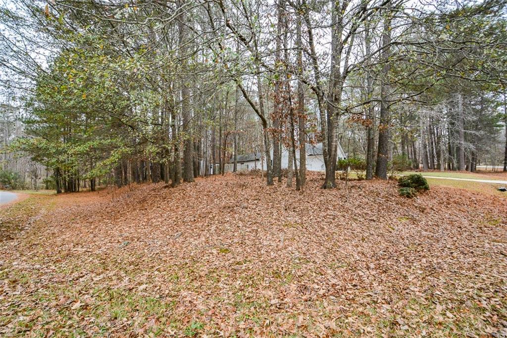 1413 Reed Lane Woodstock, GA 30189 - Photo 52 of 68