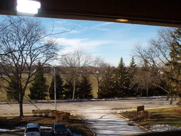 a view of a yard with an outdoor space